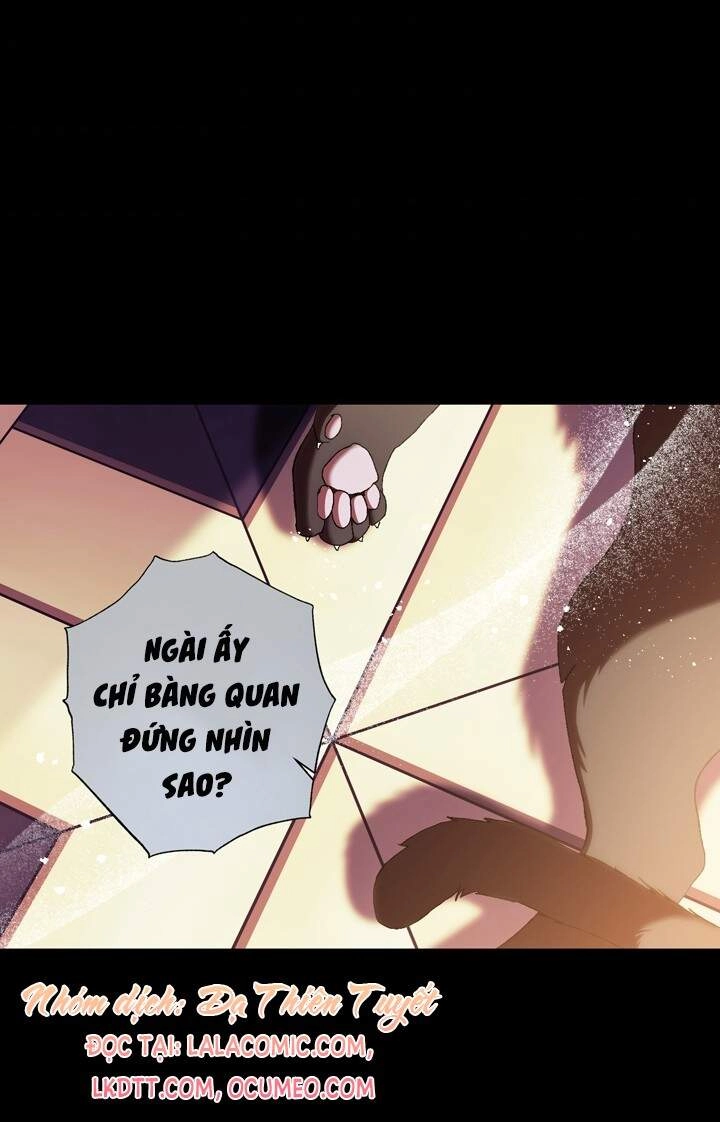 Cha Ơi Con Không Muốn Kết Hôn Đâu Chapter 49 - 80