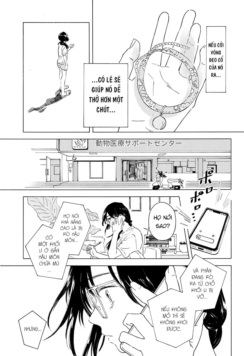 By Your Side: Where Happiness Lives! Oneshot - 11