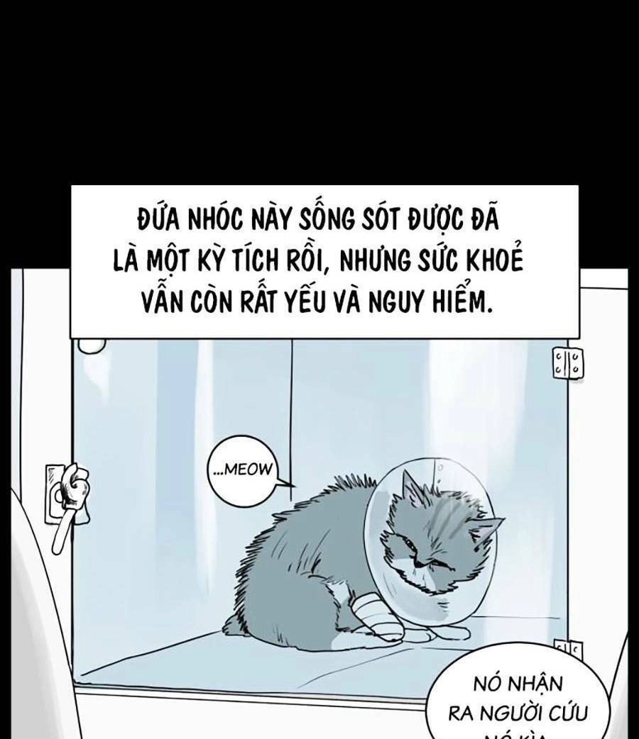 Con Mèo Đô Vật Của Tôi Chapter 1 - 23