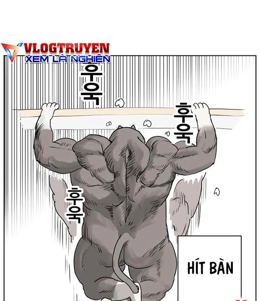 Con Mèo Đô Vật Của Tôi Chapter 1 - 33