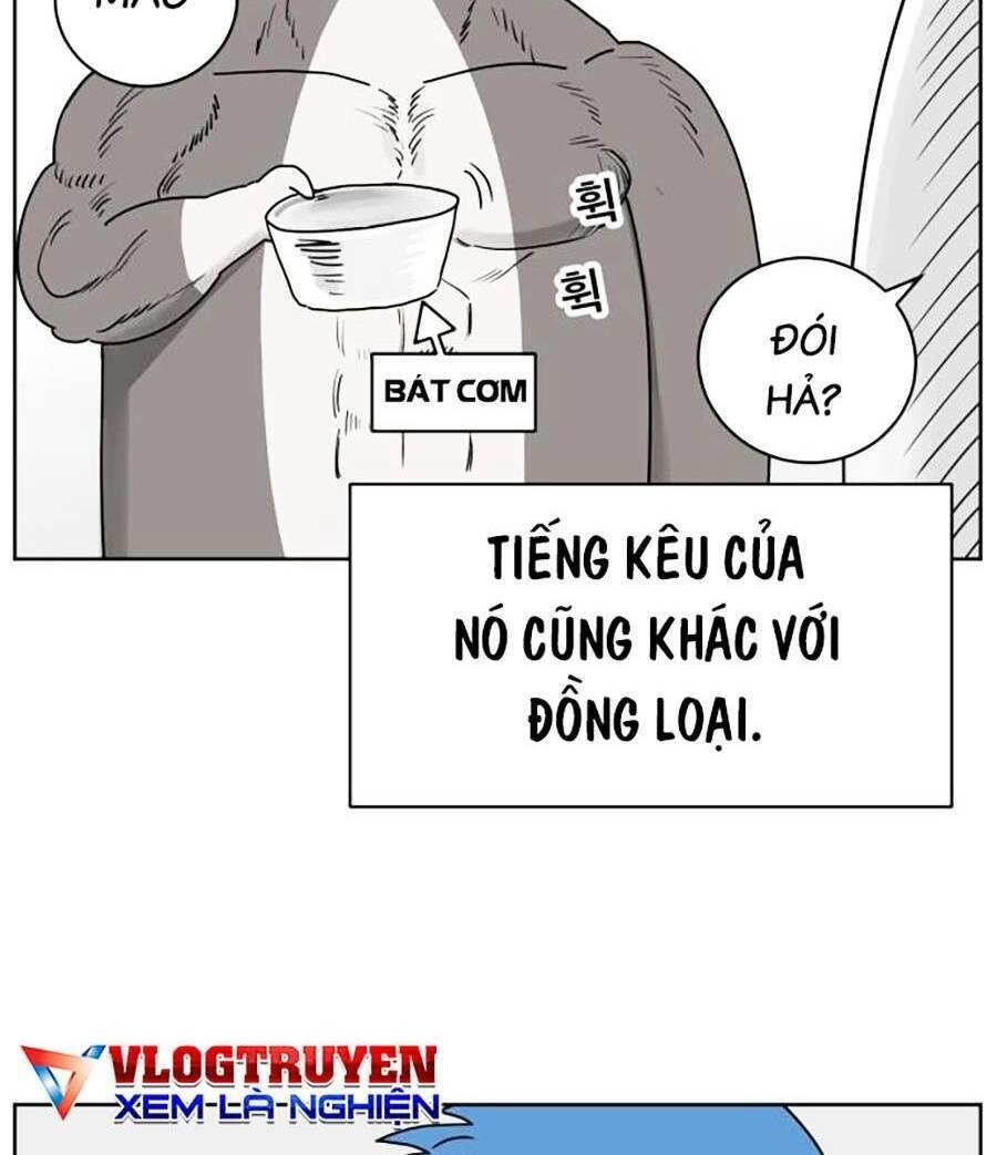 Con Mèo Đô Vật Của Tôi Chapter 1 - 54