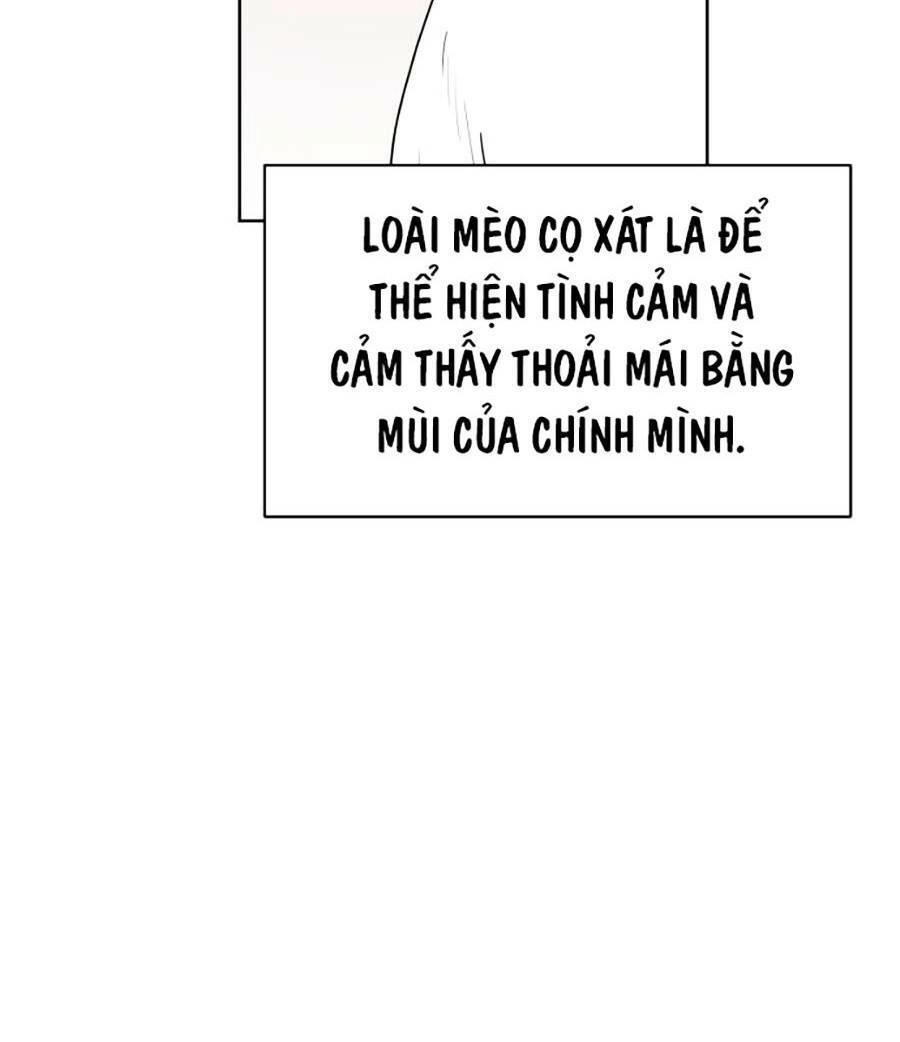 Con Mèo Đô Vật Của Tôi Chapter 1 - 73