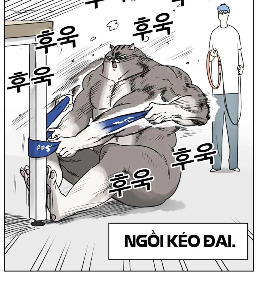 Con Mèo Đô Vật Của Tôi Chapter 2 - 5