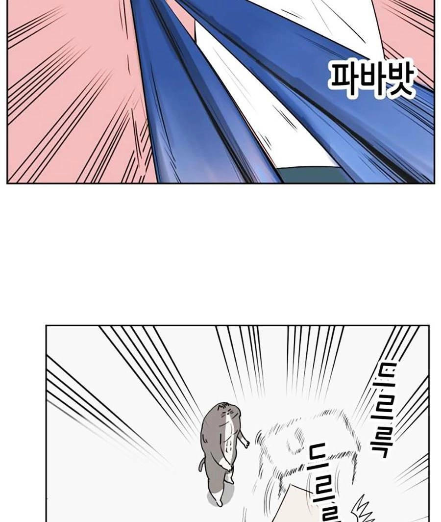 Con Mèo Đô Vật Của Tôi Chapter 2 - 19