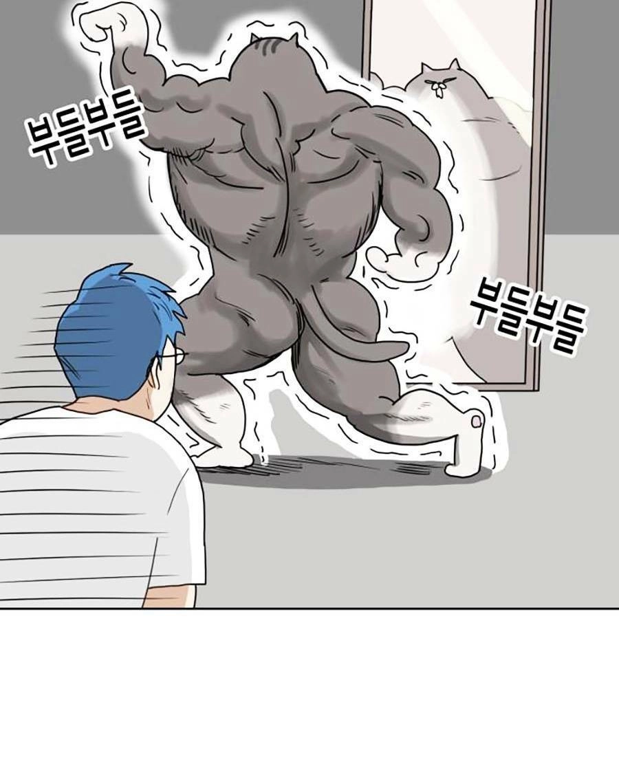 Con Mèo Đô Vật Của Tôi Chapter 2 - 45