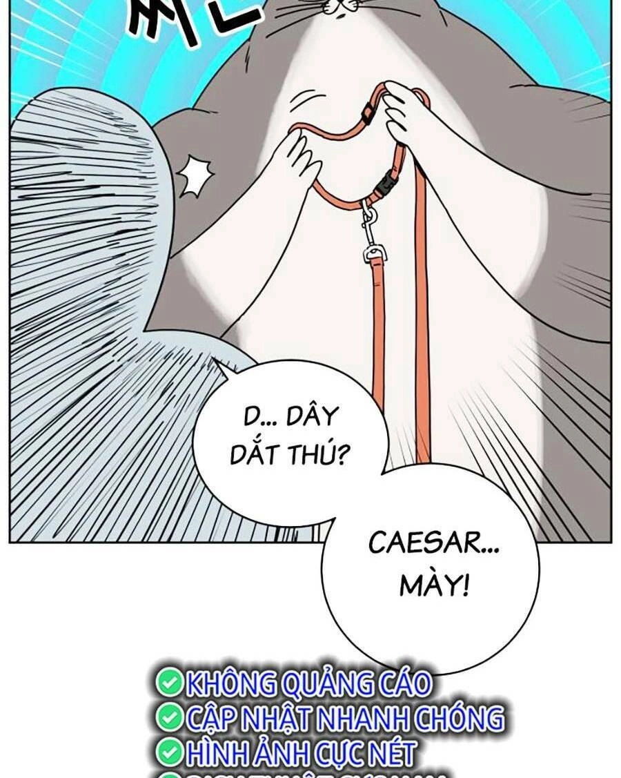 Con Mèo Đô Vật Của Tôi Chapter 2 - 50