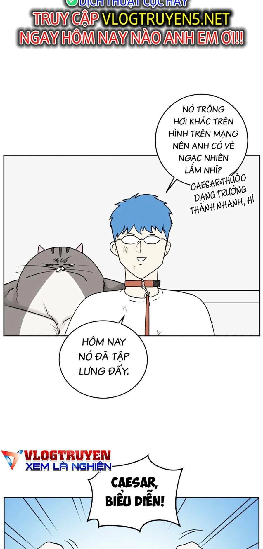 Con Mèo Đô Vật Của Tôi Chapter 2 - 102