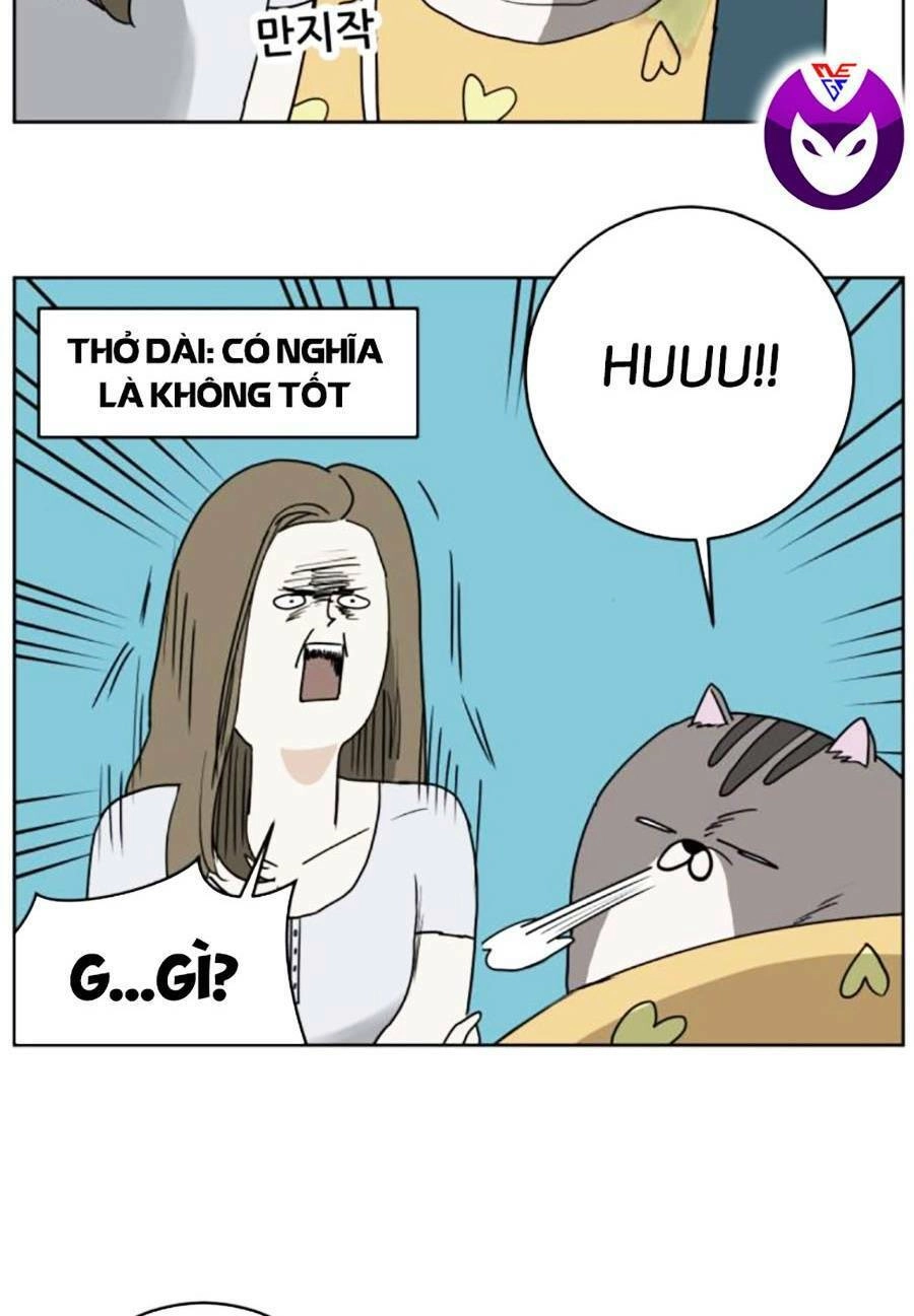 Con Mèo Đô Vật Của Tôi Chapter 3 - 25