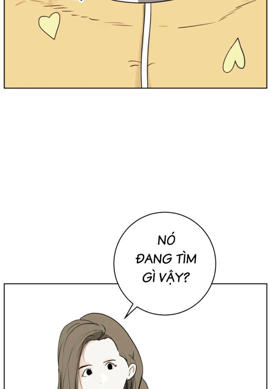 Con Mèo Đô Vật Của Tôi Chapter 3 - 28