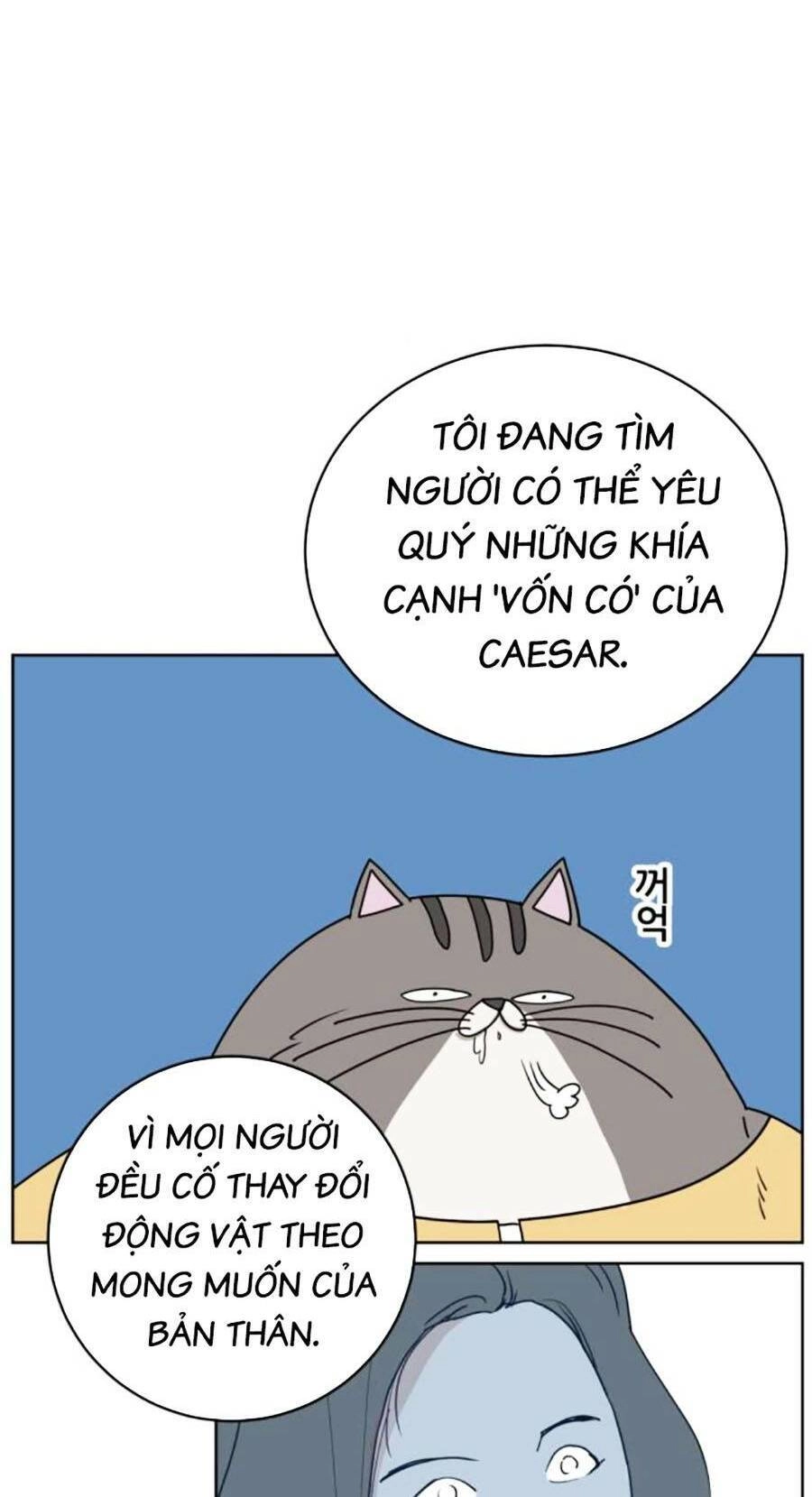 Con Mèo Đô Vật Của Tôi Chapter 3 - 47