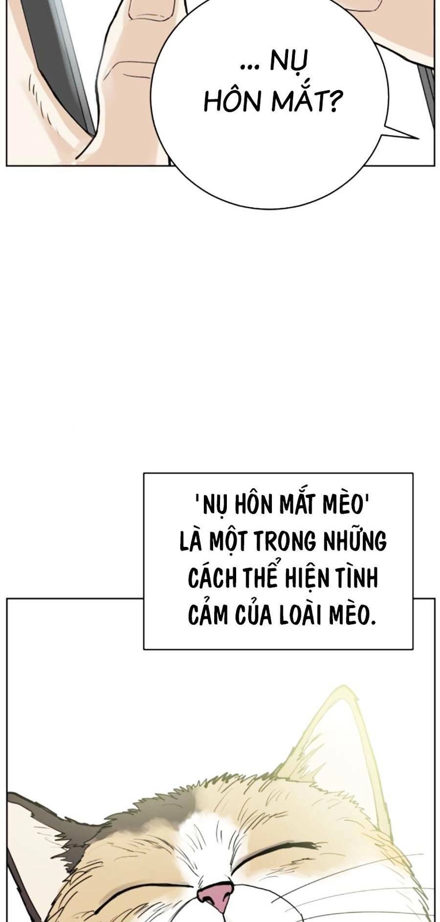 Con Mèo Đô Vật Của Tôi Chapter 4 - 16