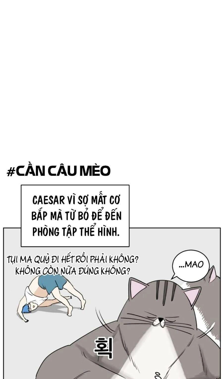 Con Mèo Đô Vật Của Tôi Chapter 4 - 60