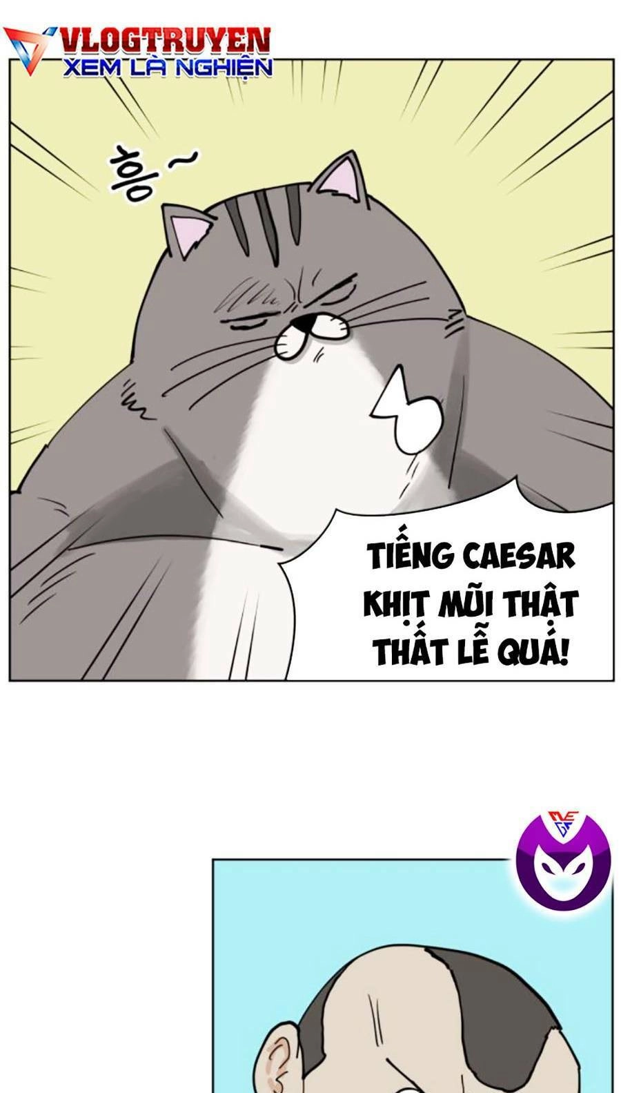 Con Mèo Đô Vật Của Tôi Chapter 5 - 27