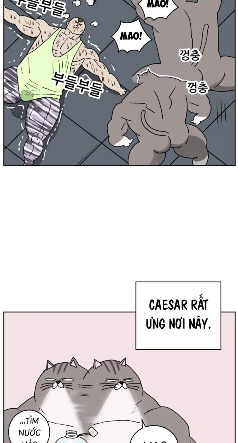 Con Mèo Đô Vật Của Tôi Chapter 5 - 39