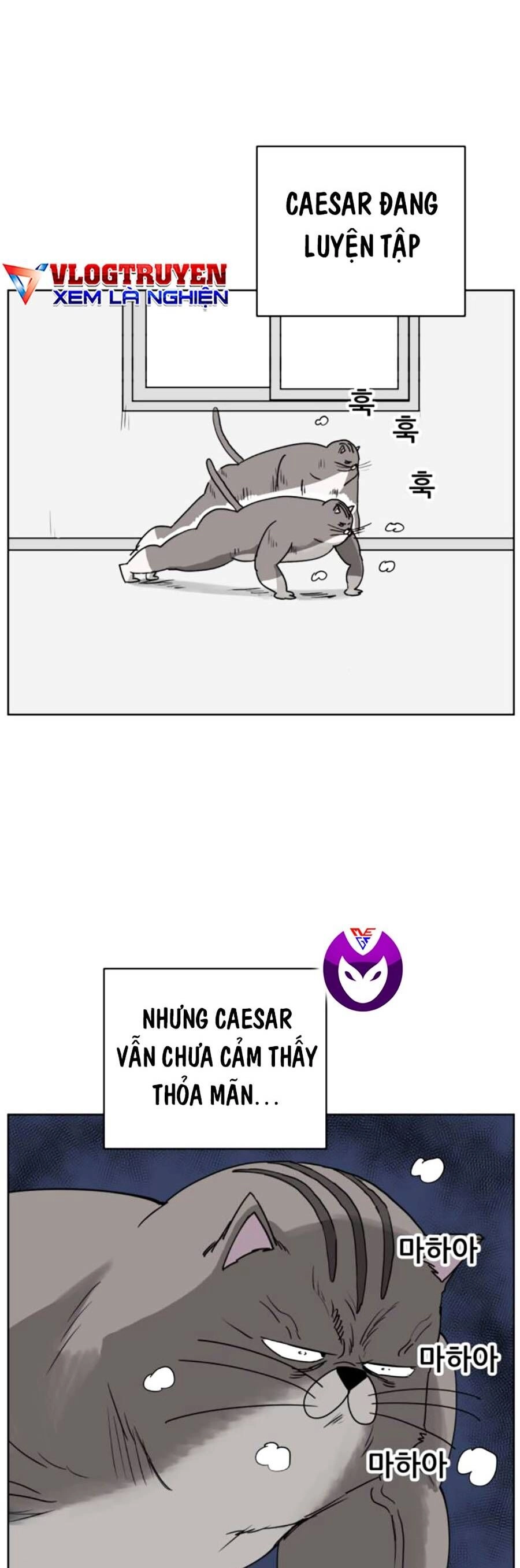 Con Mèo Đô Vật Của Tôi Chapter 7 - 2