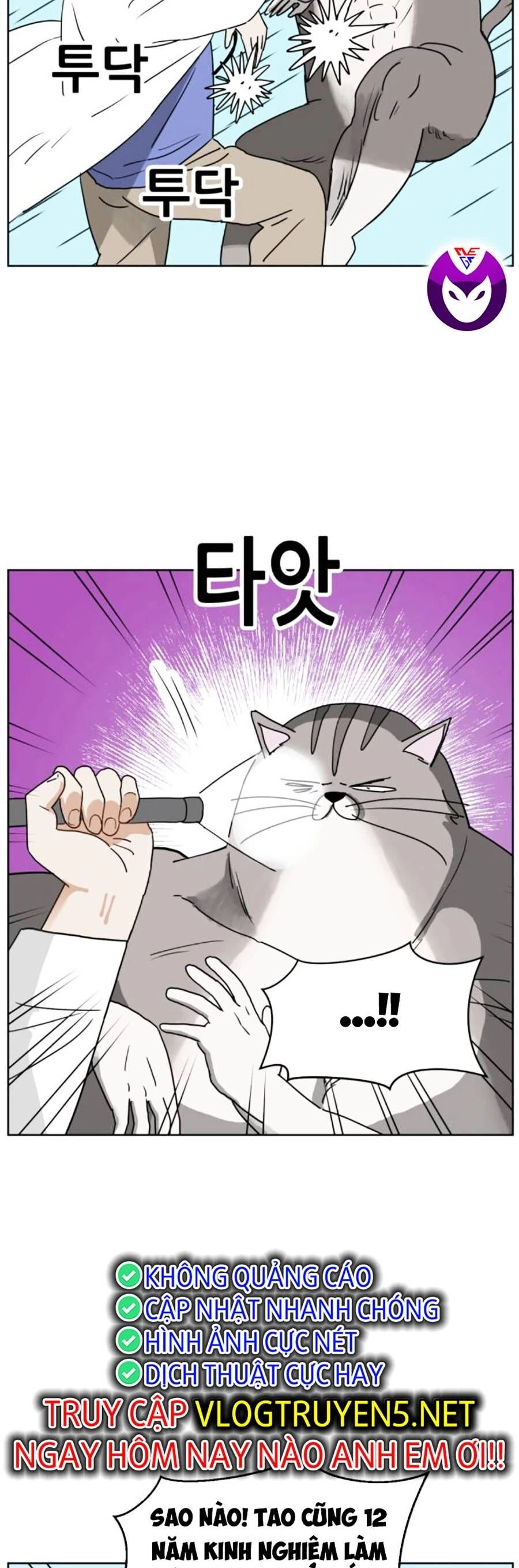 Con Mèo Đô Vật Của Tôi Chapter 7 - 17