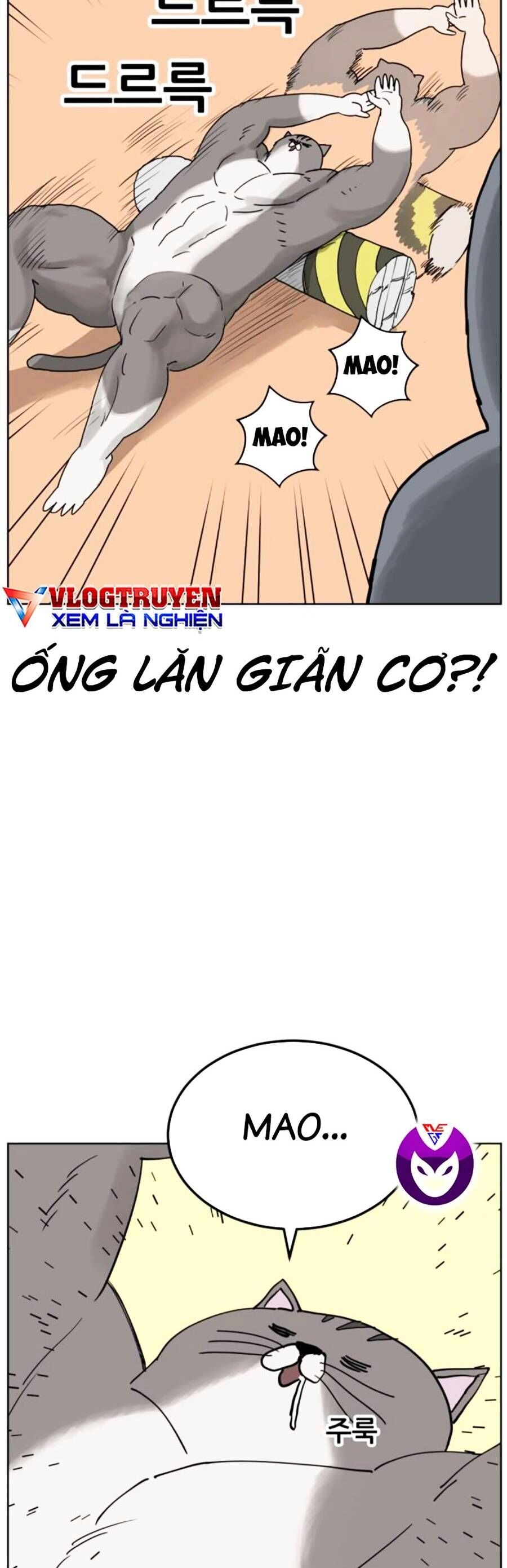 Con Mèo Đô Vật Của Tôi Chapter 8 - 11