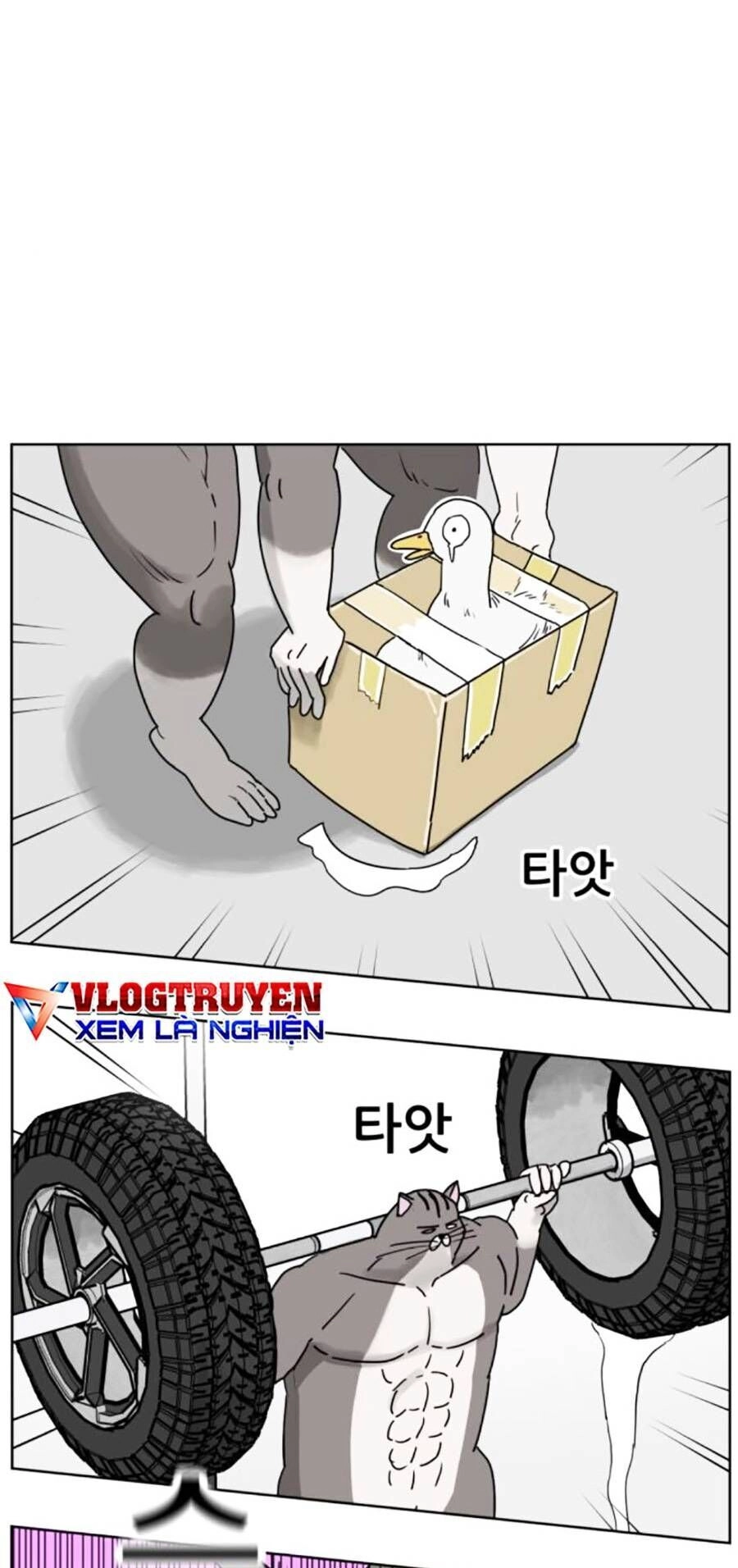 Con Mèo Đô Vật Của Tôi Chapter 8 - 24