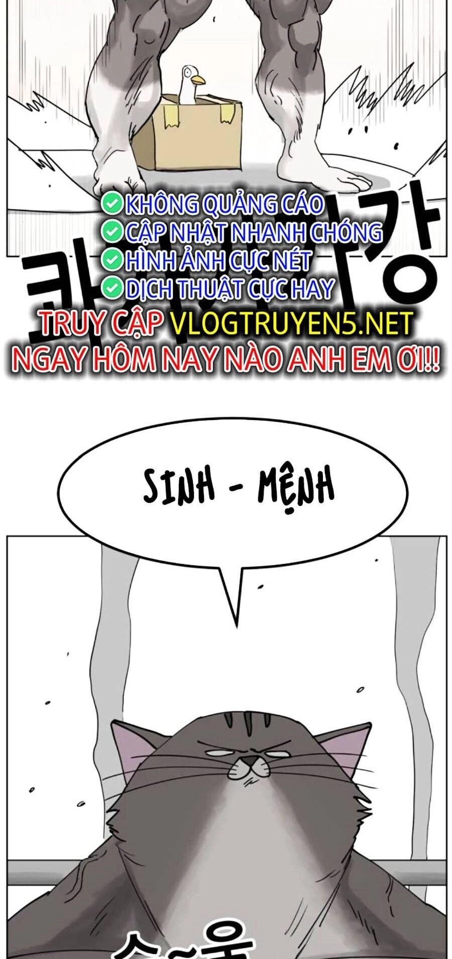 Con Mèo Đô Vật Của Tôi Chapter 8 - 27