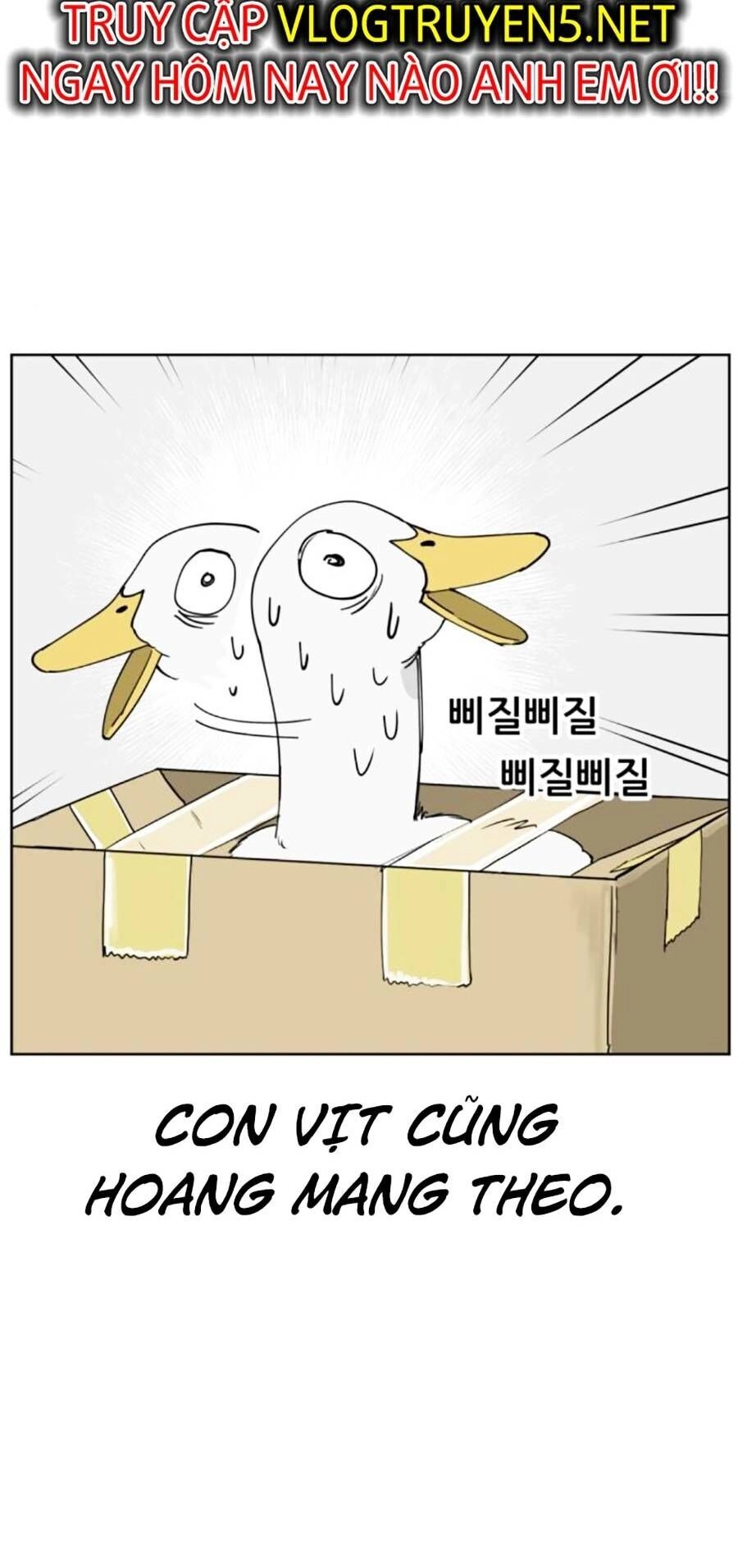 Con Mèo Đô Vật Của Tôi Chapter 8 - 38