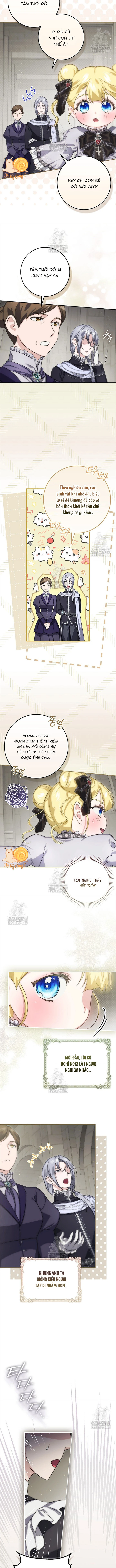 Tôi Là Một Điệp Viên 5 Tuổi Đã Bắt Cóc Kẻ Phản Diện Chapter  12 - 6