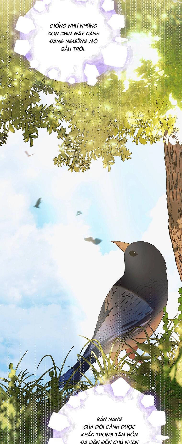 Cách Để Em Bảo Vệ Anh Chapter 97.1 - 59