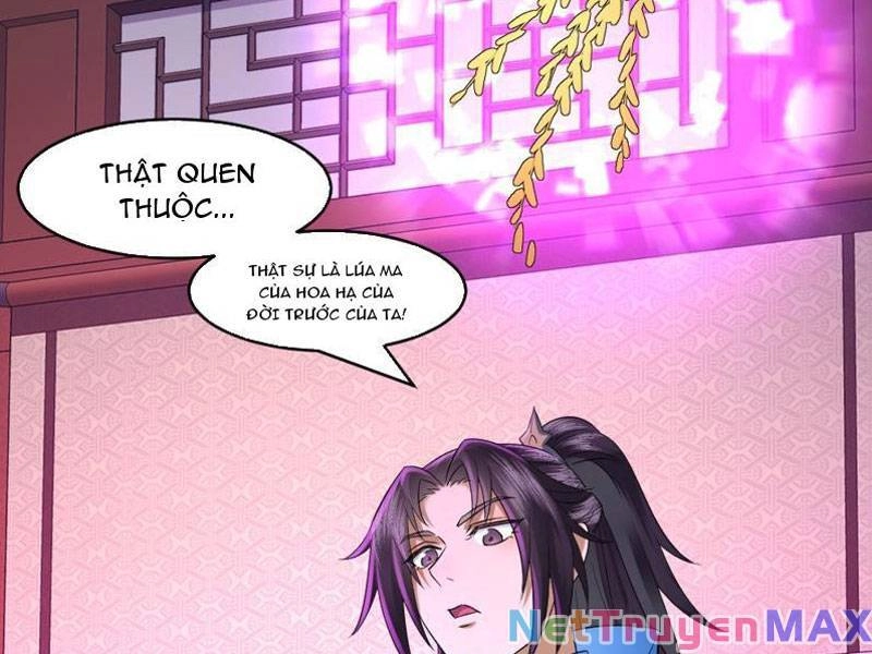 Phu Nhân Ta Là Nữ Đế Hoàng Triều Chapter 5 - 49