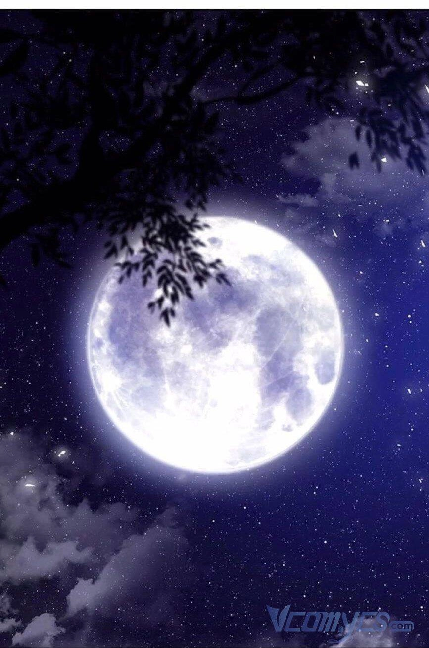 Vương Tử Huyền Bí Chapter 91 - 11