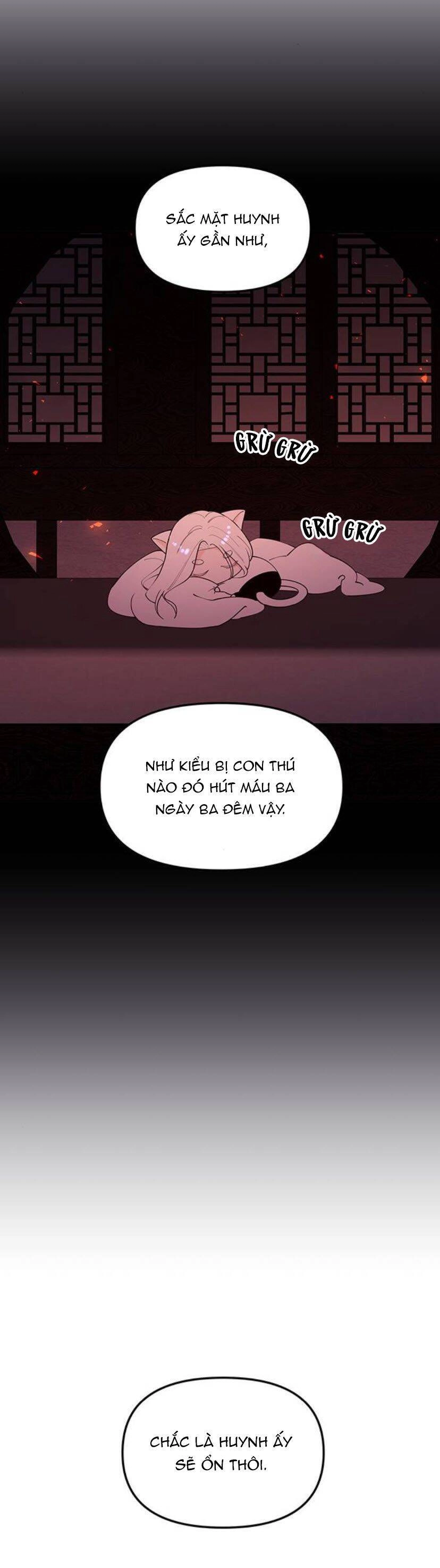 Vương Tử Huyền Bí Chapter 94 - 56