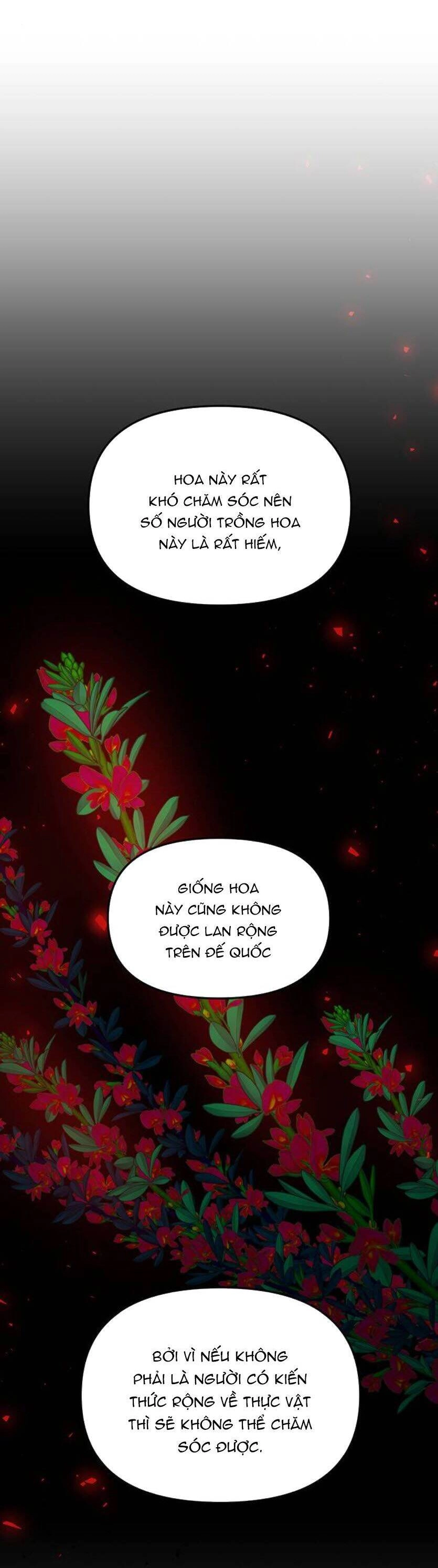 Vương Tử Huyền Bí Chapter 96 - 90