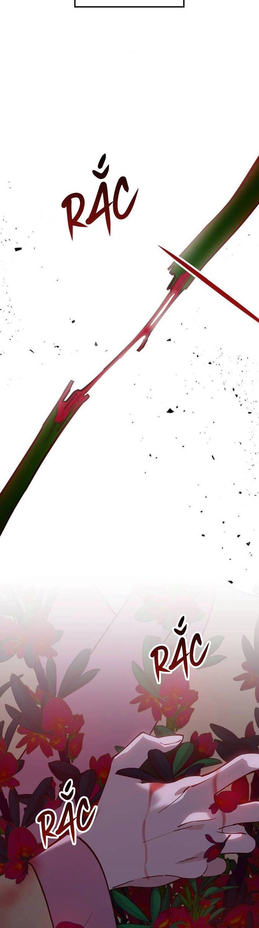 Vương Tử Huyền Bí Chapter 96 - 92