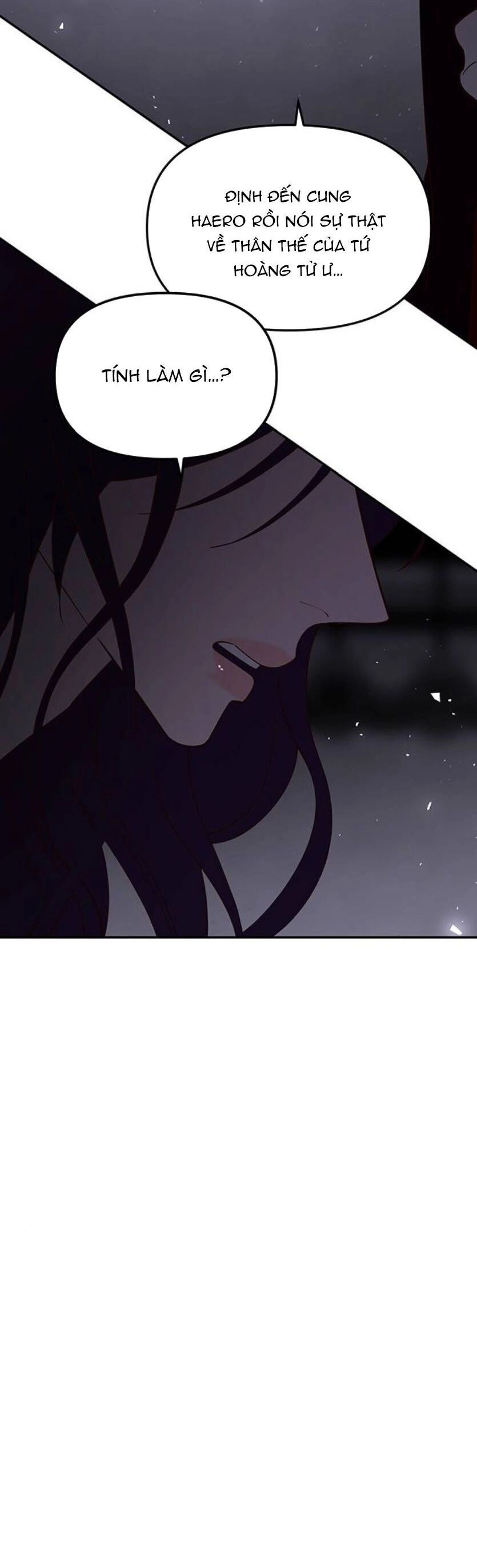 Vương Tử Huyền Bí Chapter 98 - 25