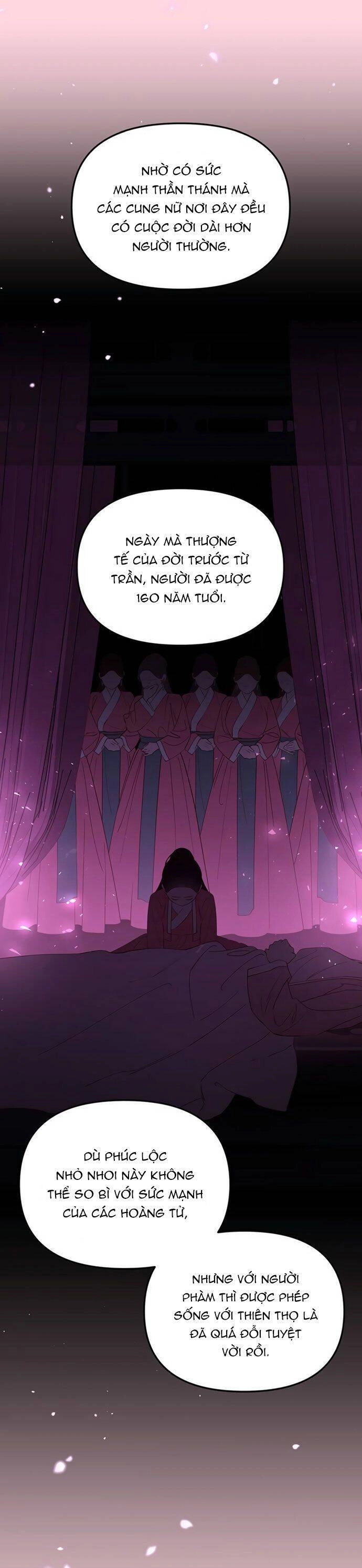 Vương Tử Huyền Bí Chapter 101 - 13