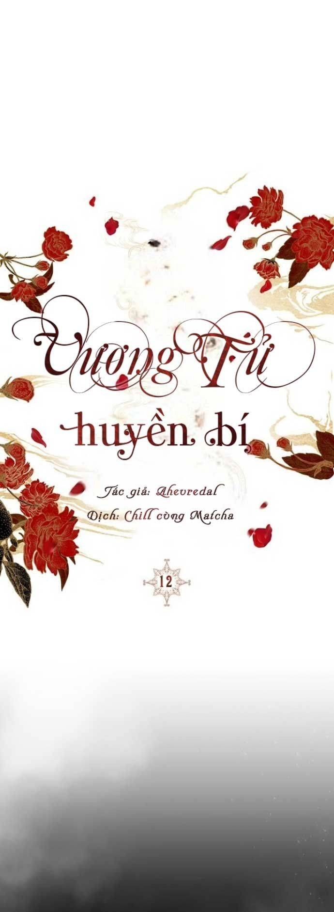 Vương Tử Huyền Bí Chapter 12 - 6