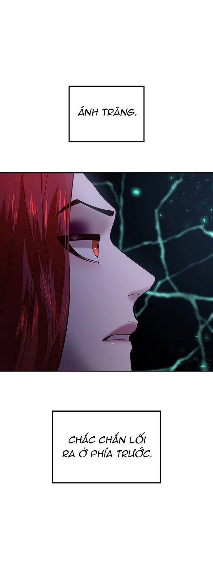 Vương Tử Huyền Bí Chapter 22 - 66