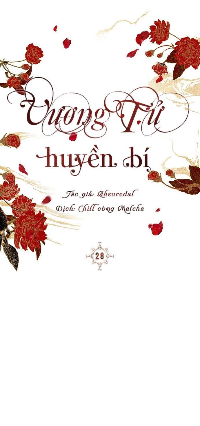 Vương Tử Huyền Bí Chapter 28 - 51