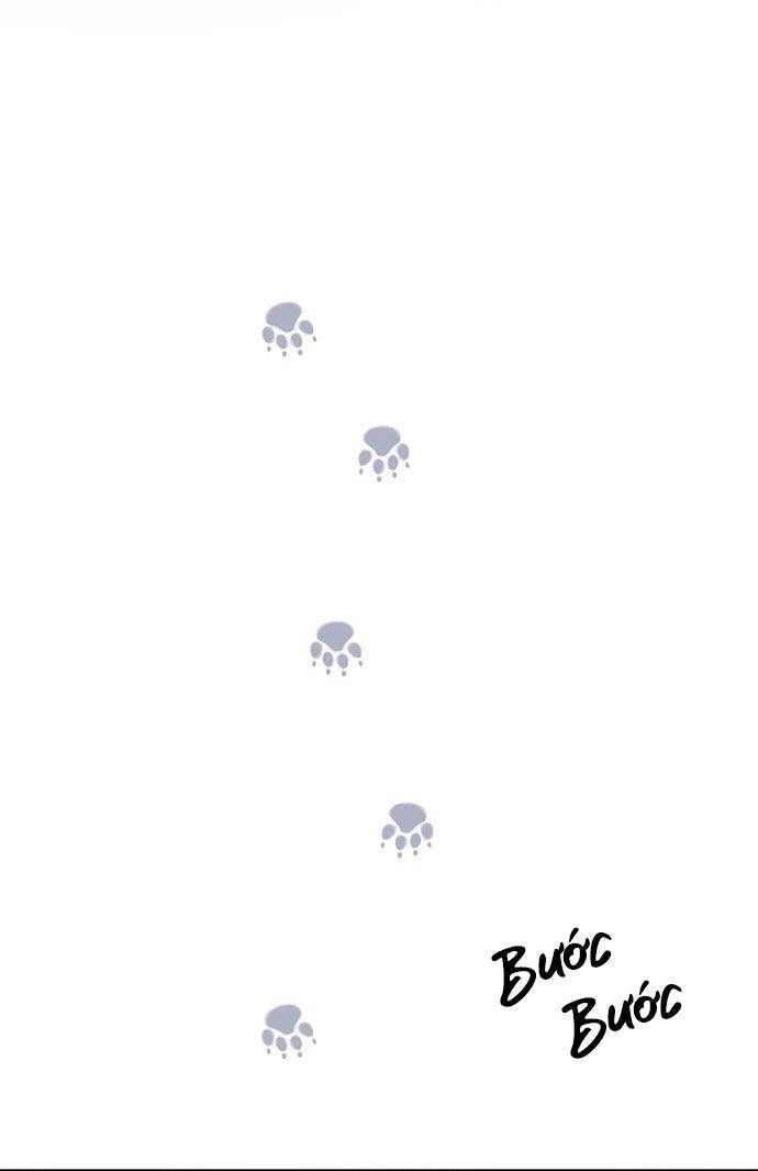 Vương Tử Huyền Bí Chapter 42 - 19