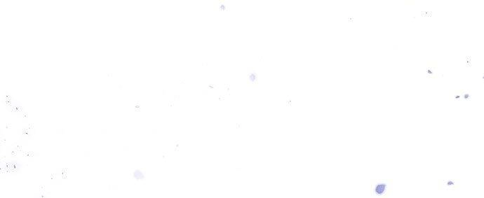 Vương Tử Huyền Bí Chapter 44 - 48