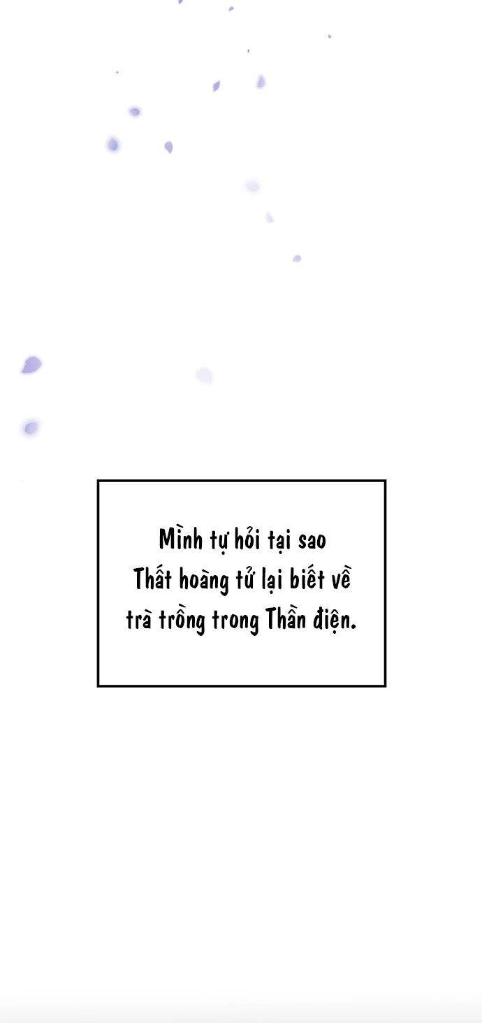 Vương Tử Huyền Bí Chapter 44 - 125