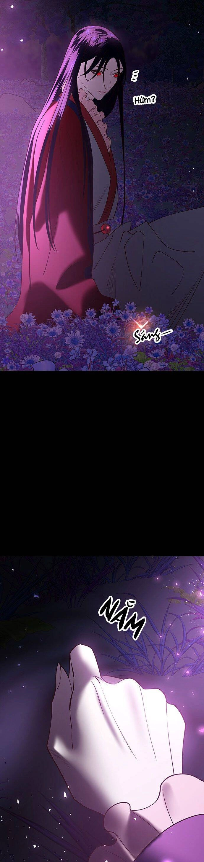 Vương Tử Huyền Bí Chapter 45 - 40