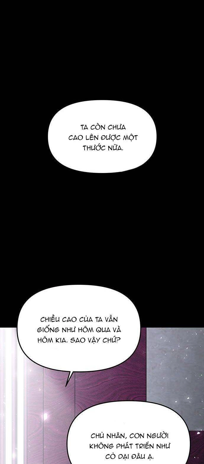 Vương Tử Huyền Bí Chapter 61 - 37