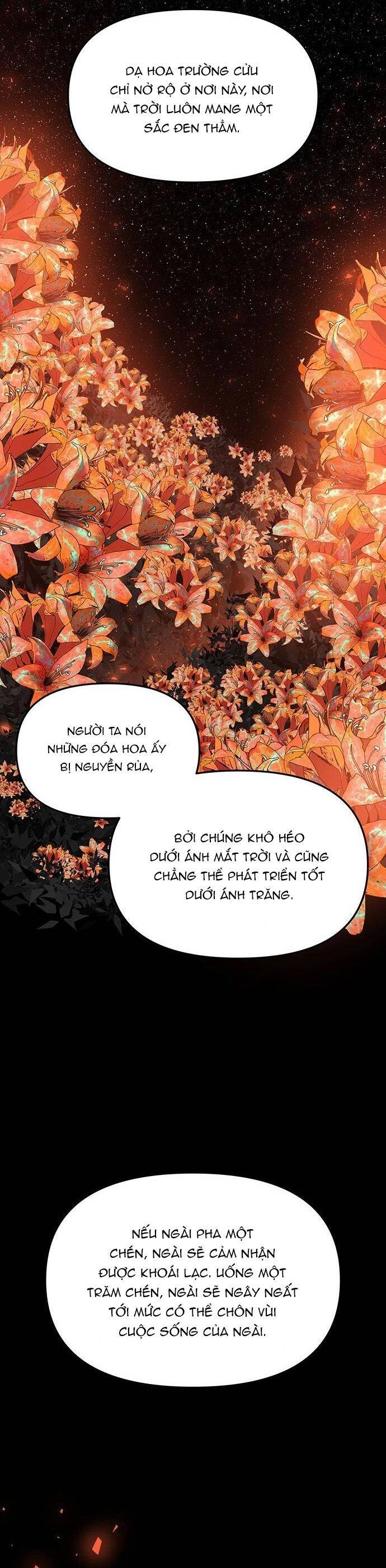 Vương Tử Huyền Bí Chapter 65 - 85