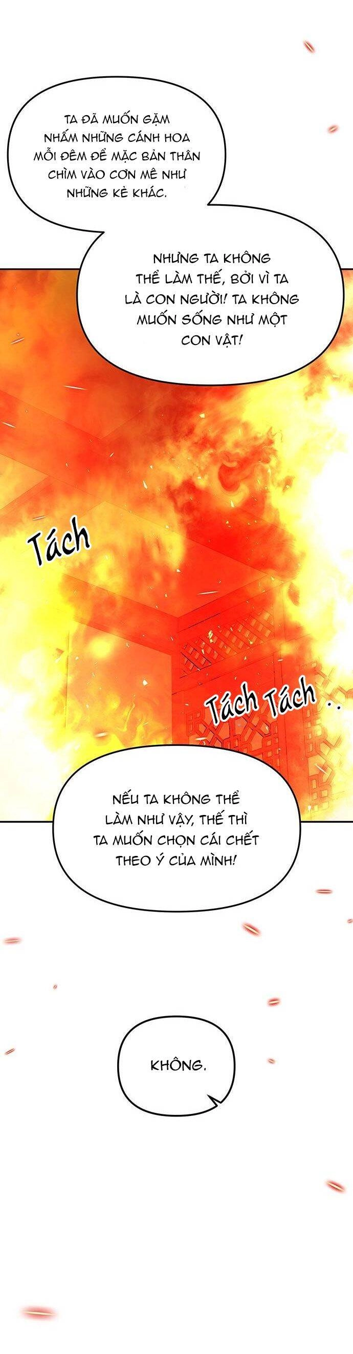 Vương Tử Huyền Bí Chapter 67 - 75