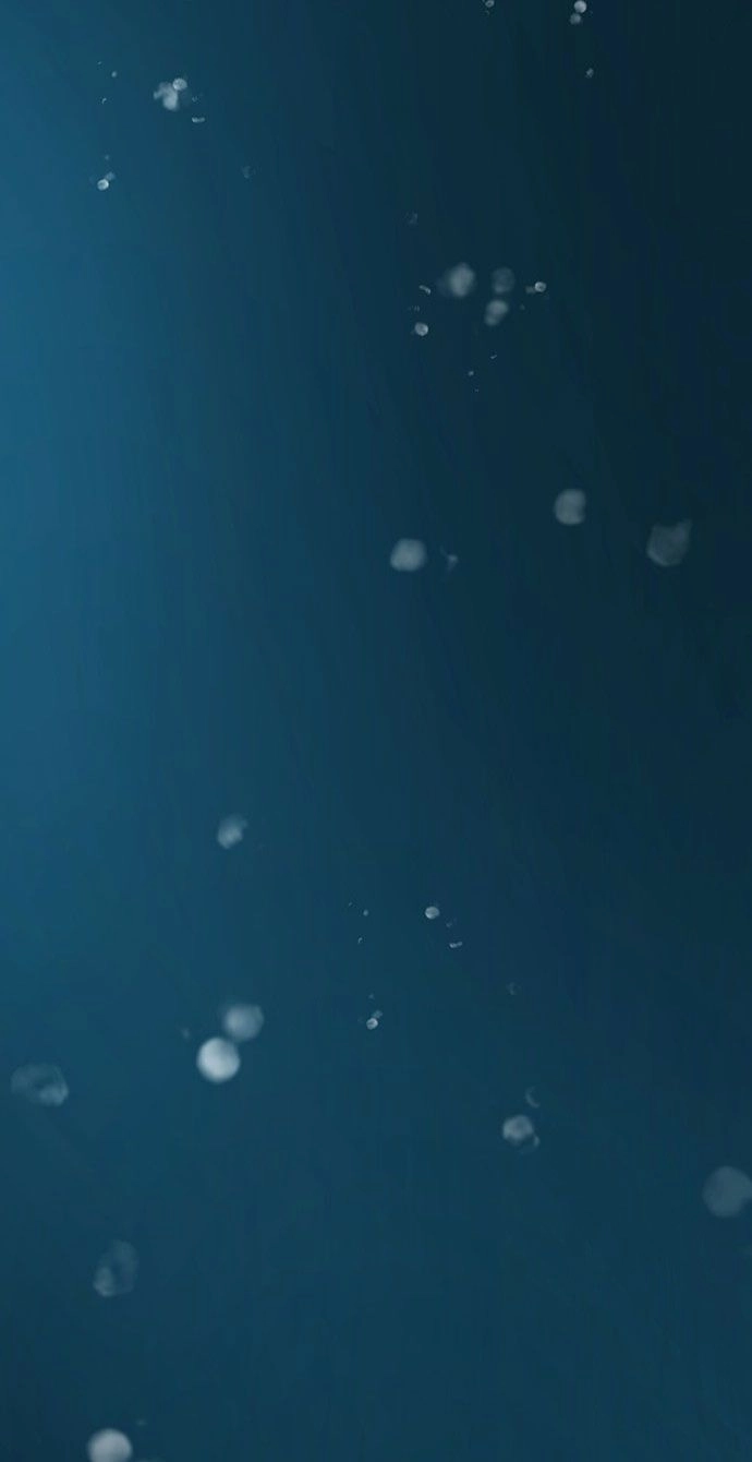 Vương Tử Huyền Bí Chapter 70 - 89