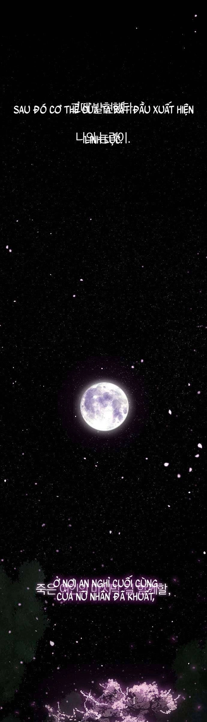 Vương Tử Huyền Bí Chapter 109 - 72