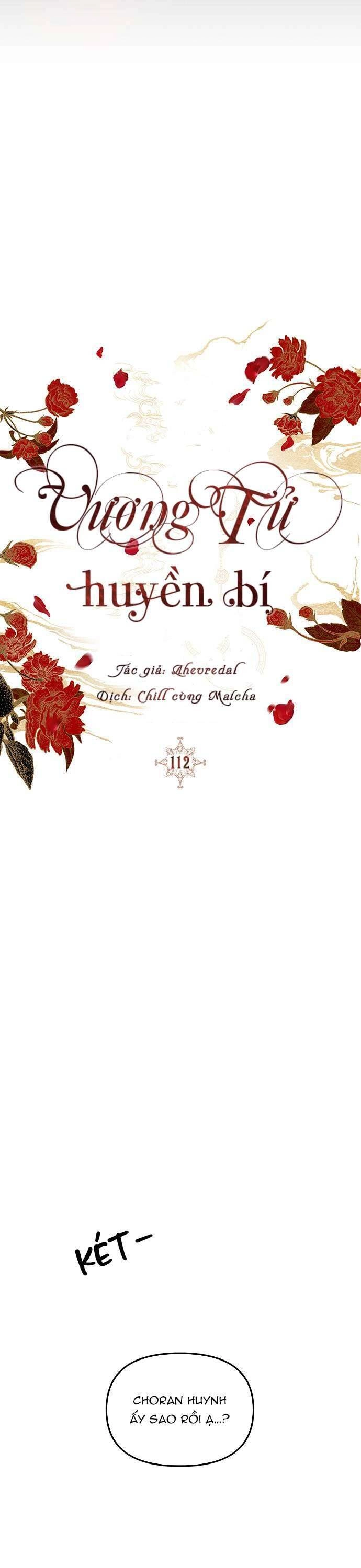 Vương Tử Huyền Bí Chapter 112 - 62