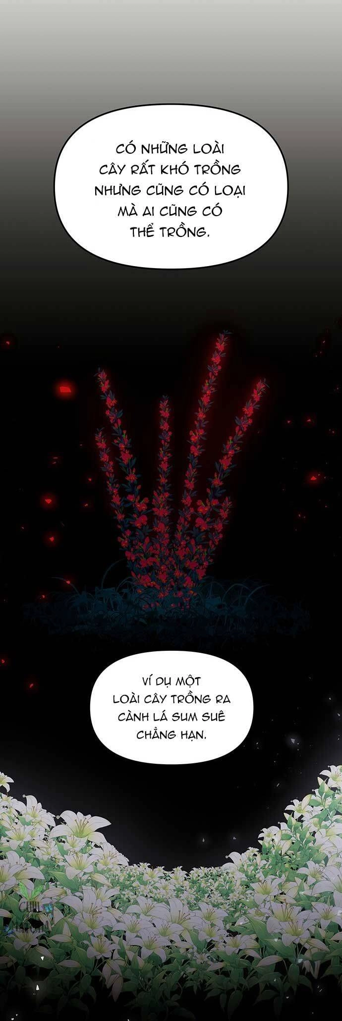 Vương Tử Huyền Bí Chapter 80 - 65