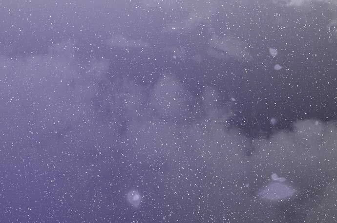 Vương Tử Huyền Bí Chapter 80 - 79