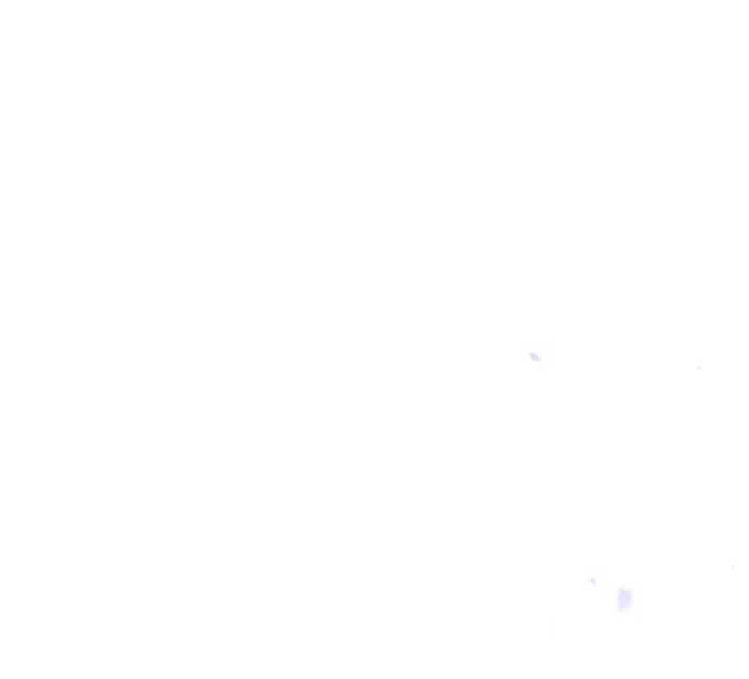 Vương Tử Huyền Bí Chapter 80 - 88