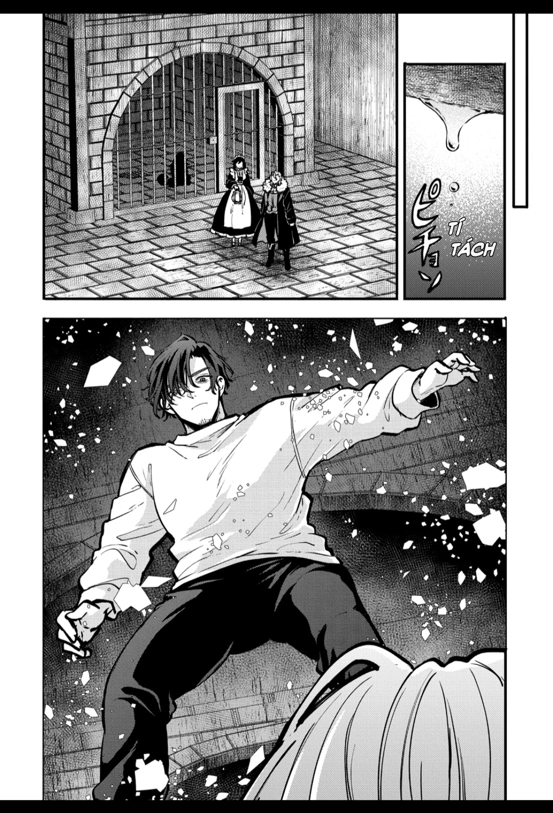 Trùm Ẩn Mạnh Nhất Và Nguy Hiểm Nhất, Cùng Người Chuyển Sinh Né Flag Diệt Vong Chapter 3 - 12